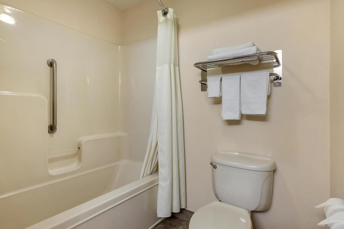 free toiletries, hair dryer, towels