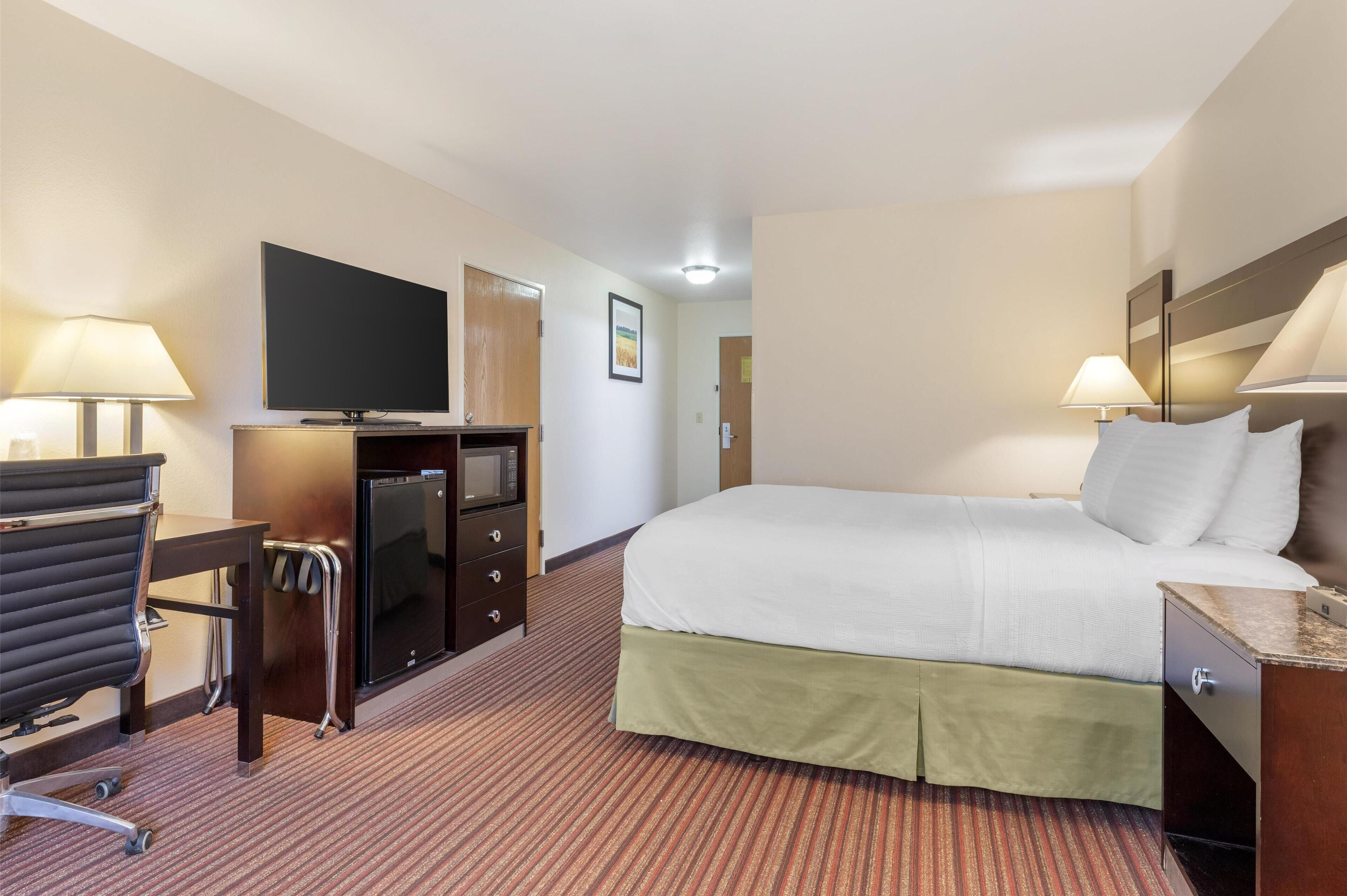 standard room, 1 queen bed, accessible, bathtub | desk, iron/ironing board, free cots/infant beds, wifi