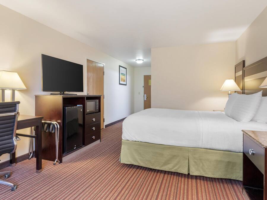 A hotel room with a bed, desk, chair, television, and a small refrigerator.