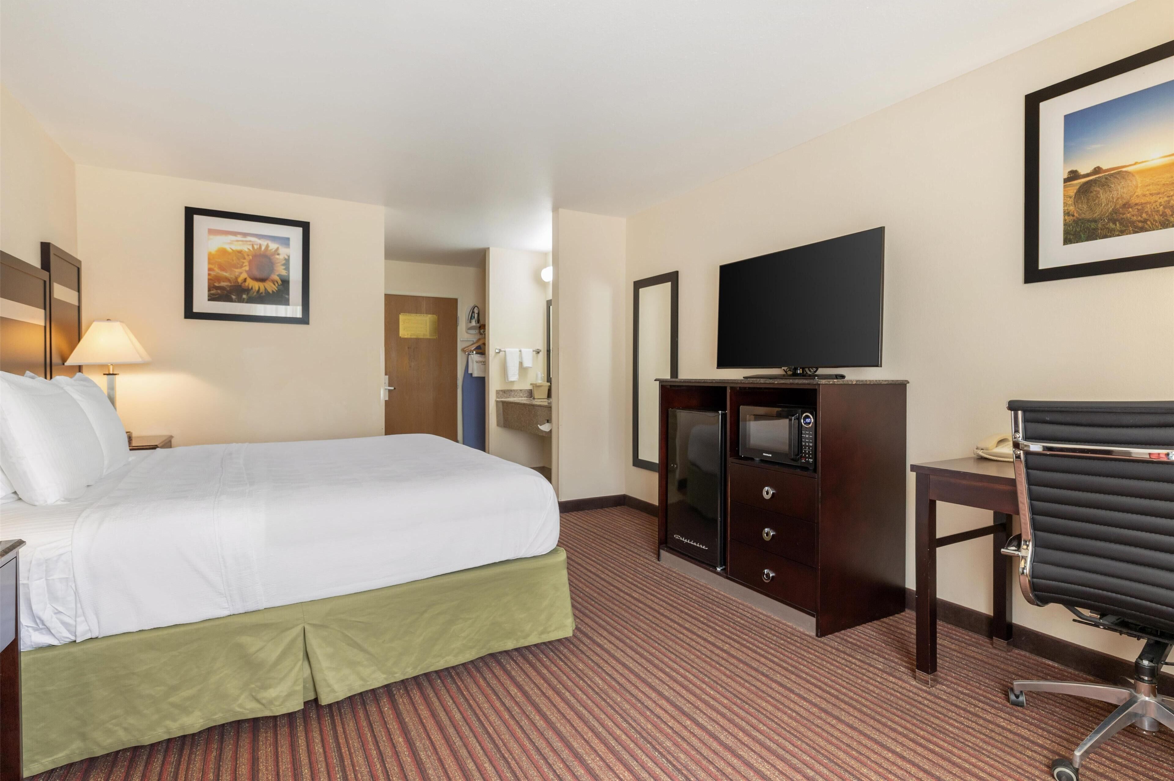 standard room, 1 king bed, non smoking | desk, iron/ironing board, free cots/infant beds, wifi