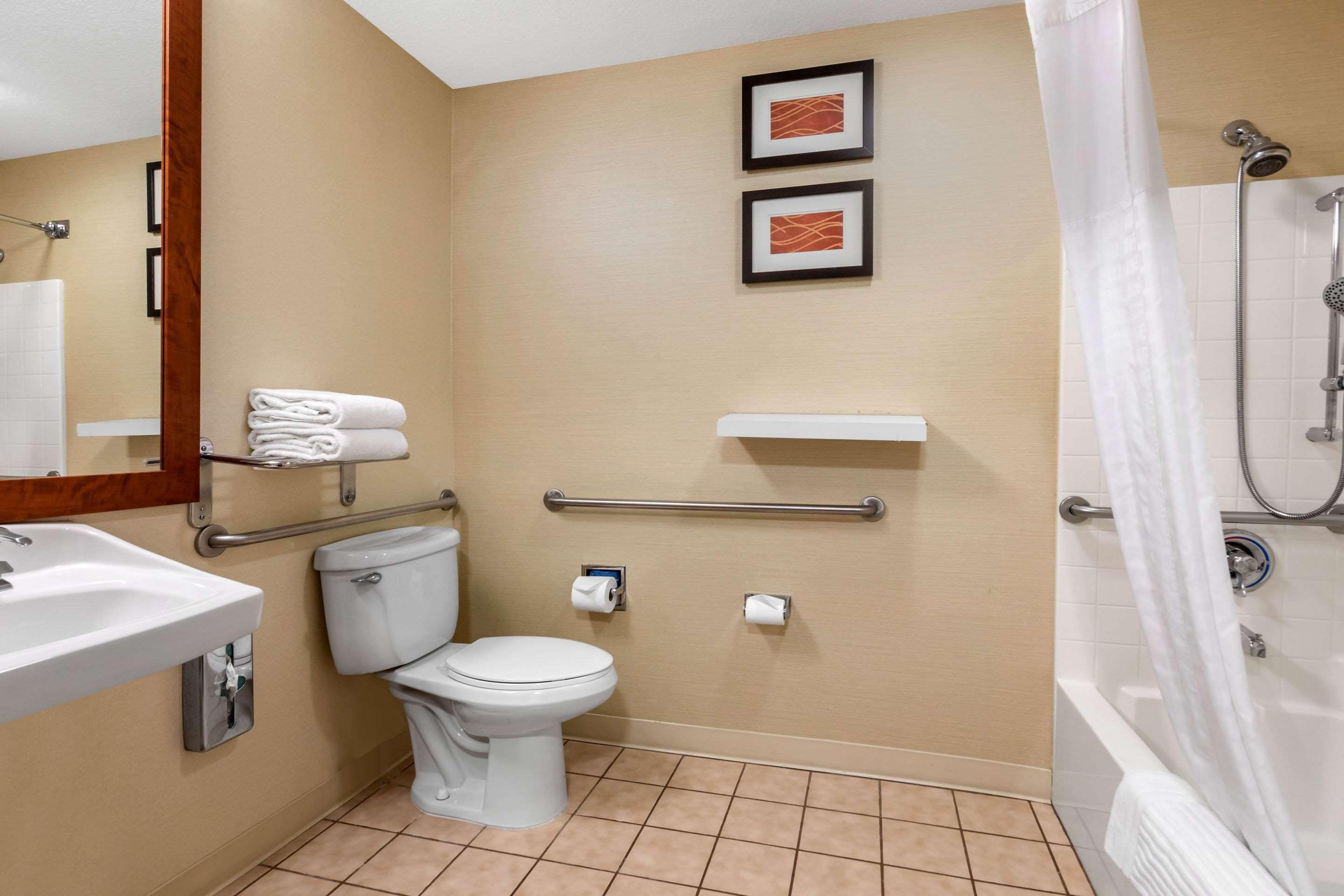 standard room, 1 king bed, accessible, non smoking | bathroom | combined shower/bathtub, free toiletries, hair dryer, towels