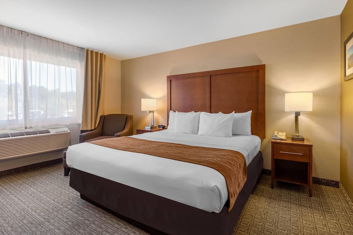 Habitación estándar, 1 cama King size, con acceso para personas discapacitadas, para no fumadores | Espacio para trabajar con laptop y cortinas blackout