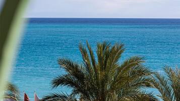 Breakfast, lunch, dinner served; international cuisine