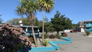 Un parking avec un banc bleu, un palmier et un bâtiment à la façade bleue et blanche.