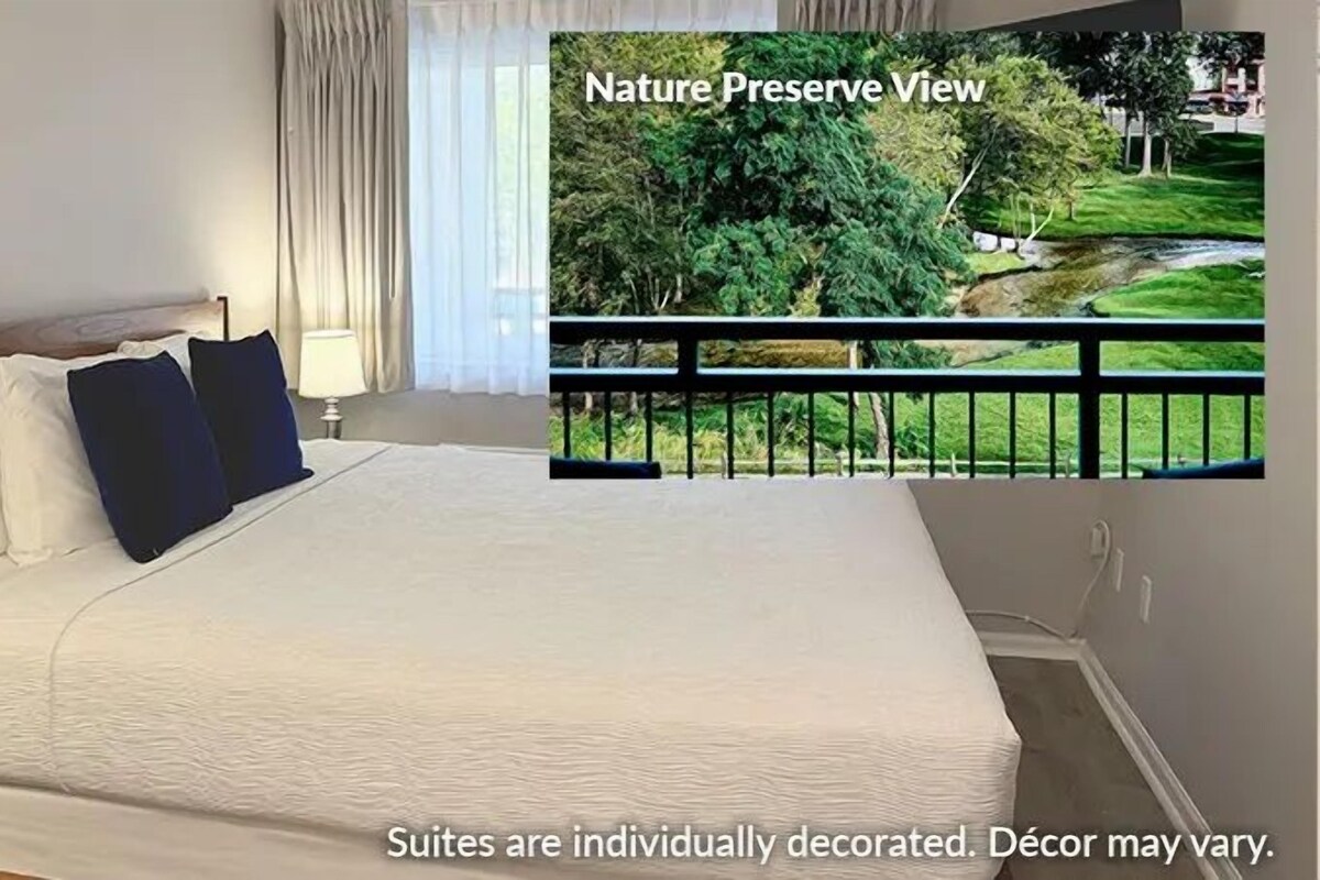 Commodore Suite Nature Preserve View