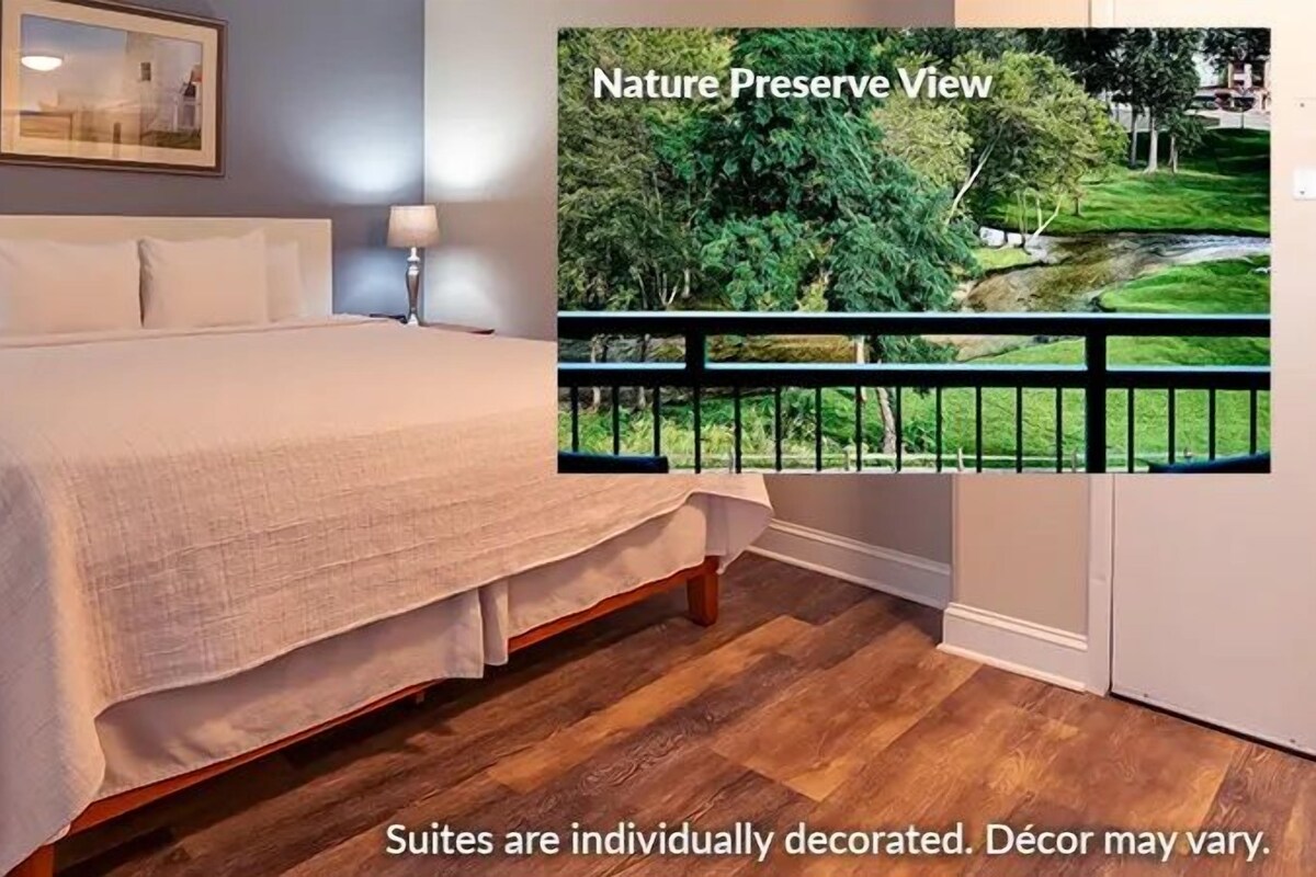 Anchor Suite Nature Preserve View