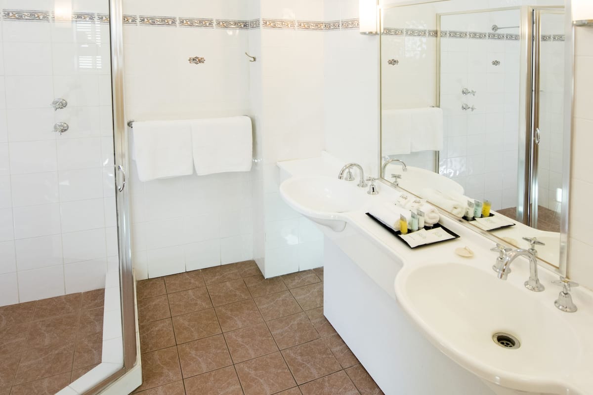 shower, free toiletries, hair dryer, towels