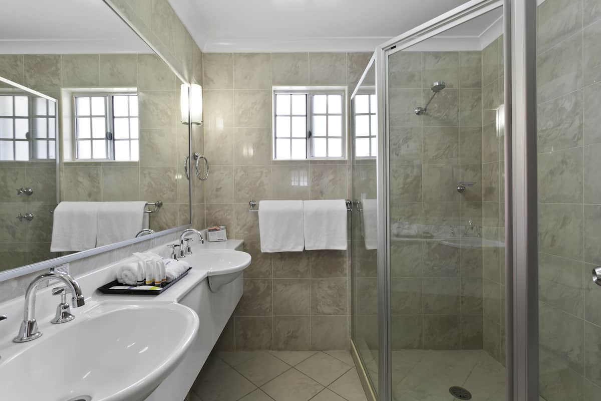 shower, free toiletries, hair dryer, towels