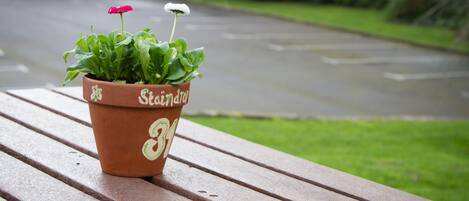 供应早餐、午餐和晚餐,英国菜