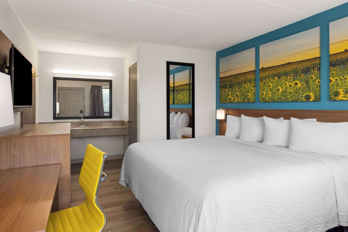 Habitación de hotel con una cama grande, un escritorio, una silla, un televisor y un cuadro de un campo.
