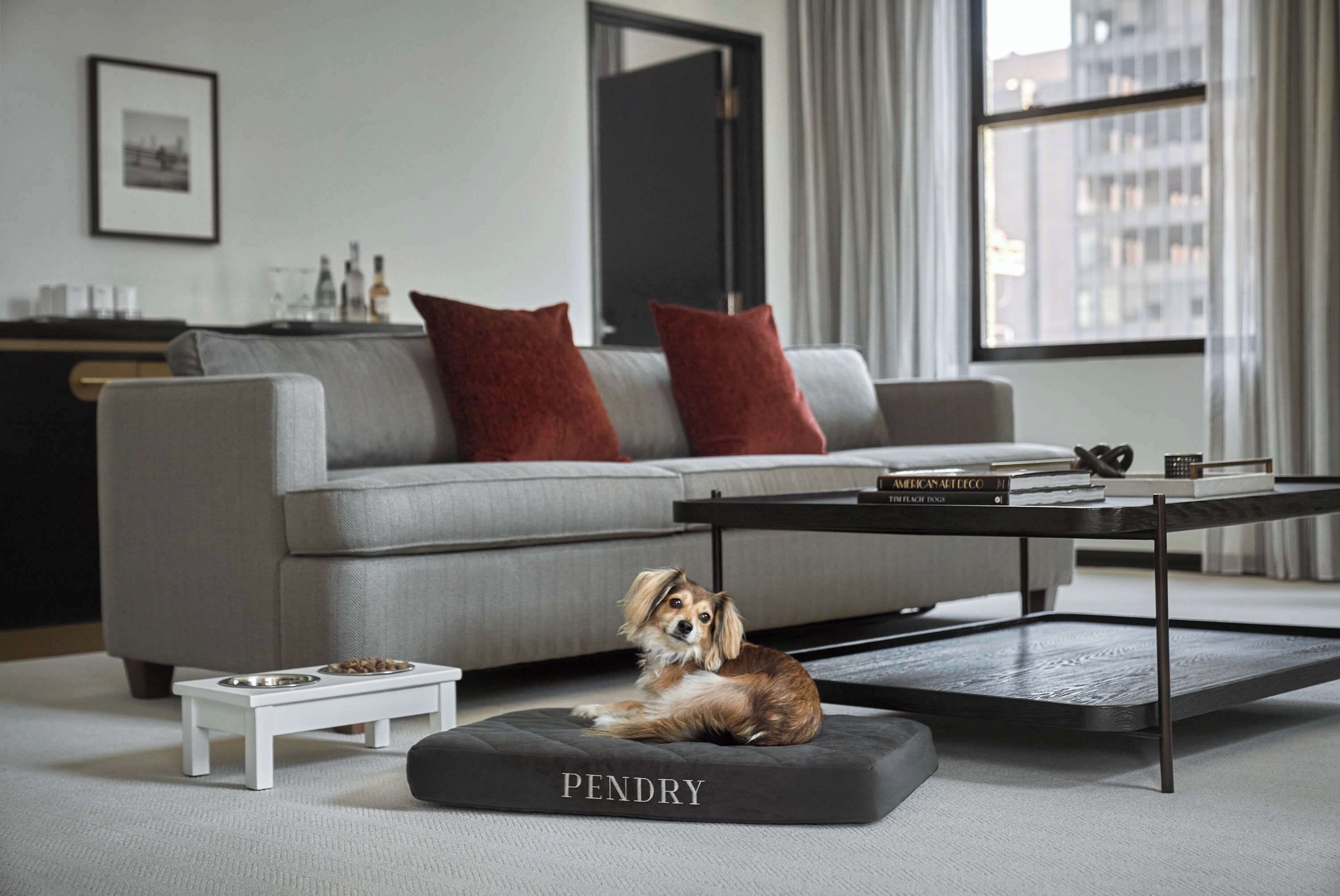 A modern living room with a grey sofa, a black coffee table, a small dog bed labeled "PENDRY", and a white side table with a dog bowl.