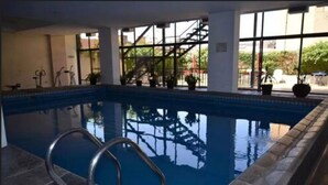 Una piscina interior con paredes de vidrio transparente, una escalera metálica y plantas en macetas alrededor del borde.