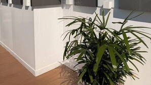 Fachada de edificio moderno con patrones geométricos y una planta en maceta al frente.