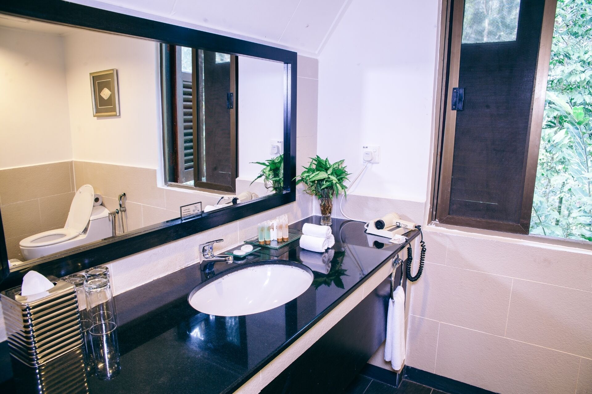 Un baño moderno con encimera negra, lavamanos blanco, espejo grande, inodoro y planta en maceta.
