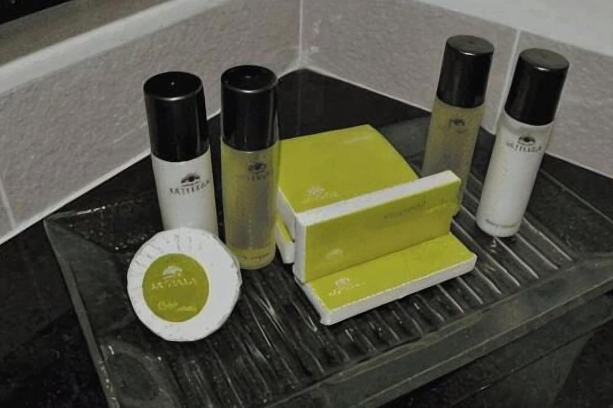 Shower, rainfall showerhead, free toiletries, hair dryer