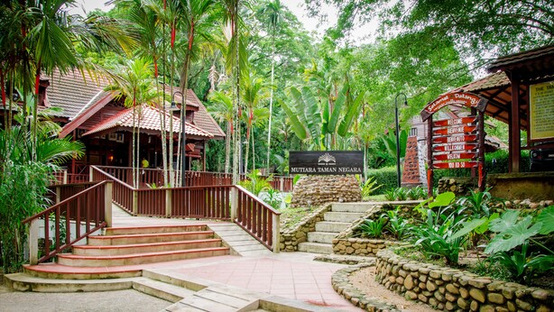 Entrada de un resort tropical con una escalera de piedra que conduce a un edificio de madera, rodeado de vegetación exuberante.