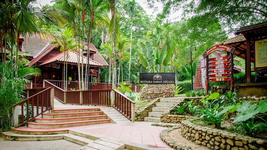 Mutiara Taman Negara