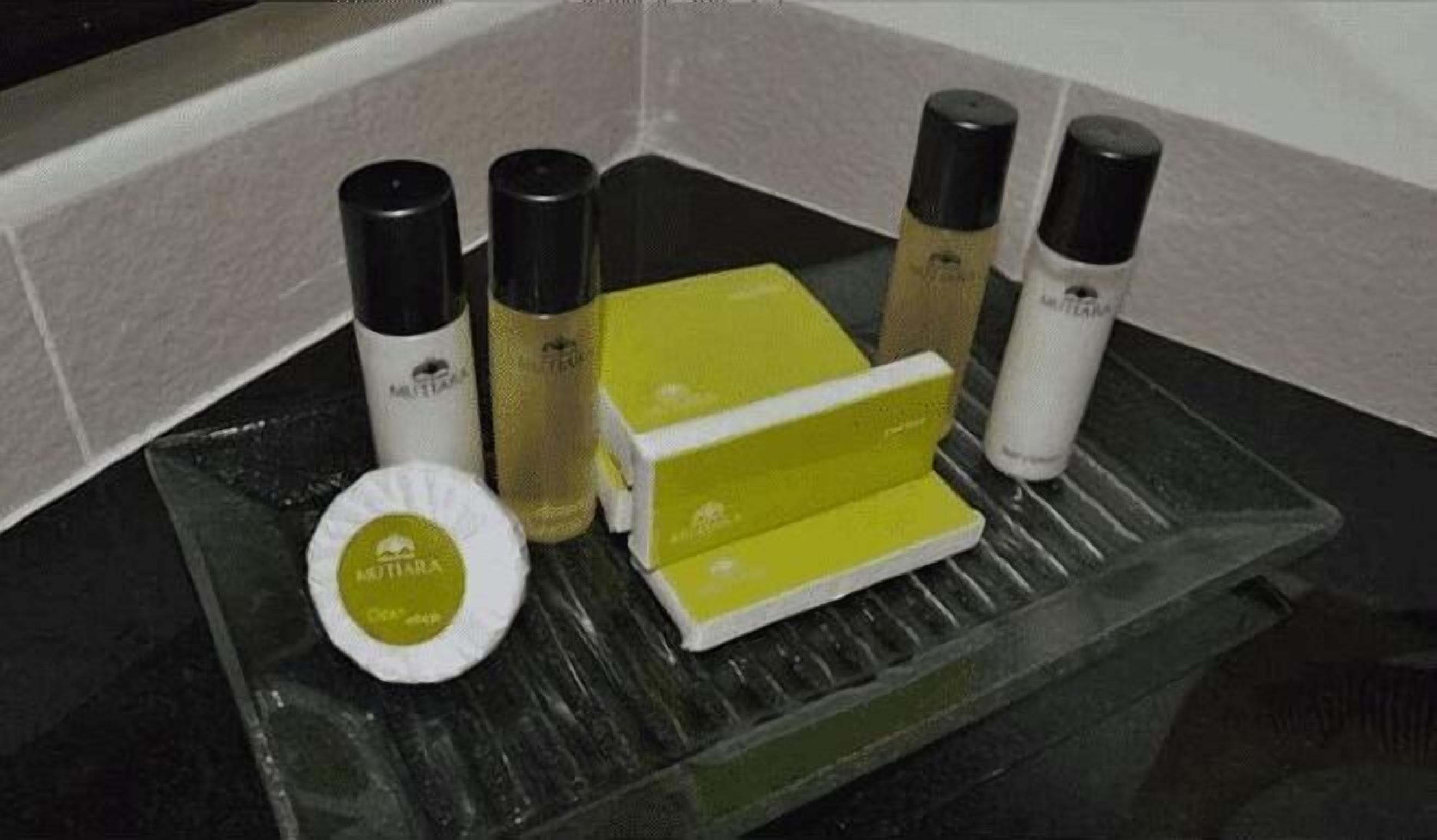 Équipements de salle de bain | Douche, douche à « effet pluie », articles de toilette gratuits