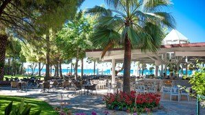 Un espace café en plein air, avec des tables et des chaises, entouré de palmiers et de fleurs, et offrant une vue sur la plage.