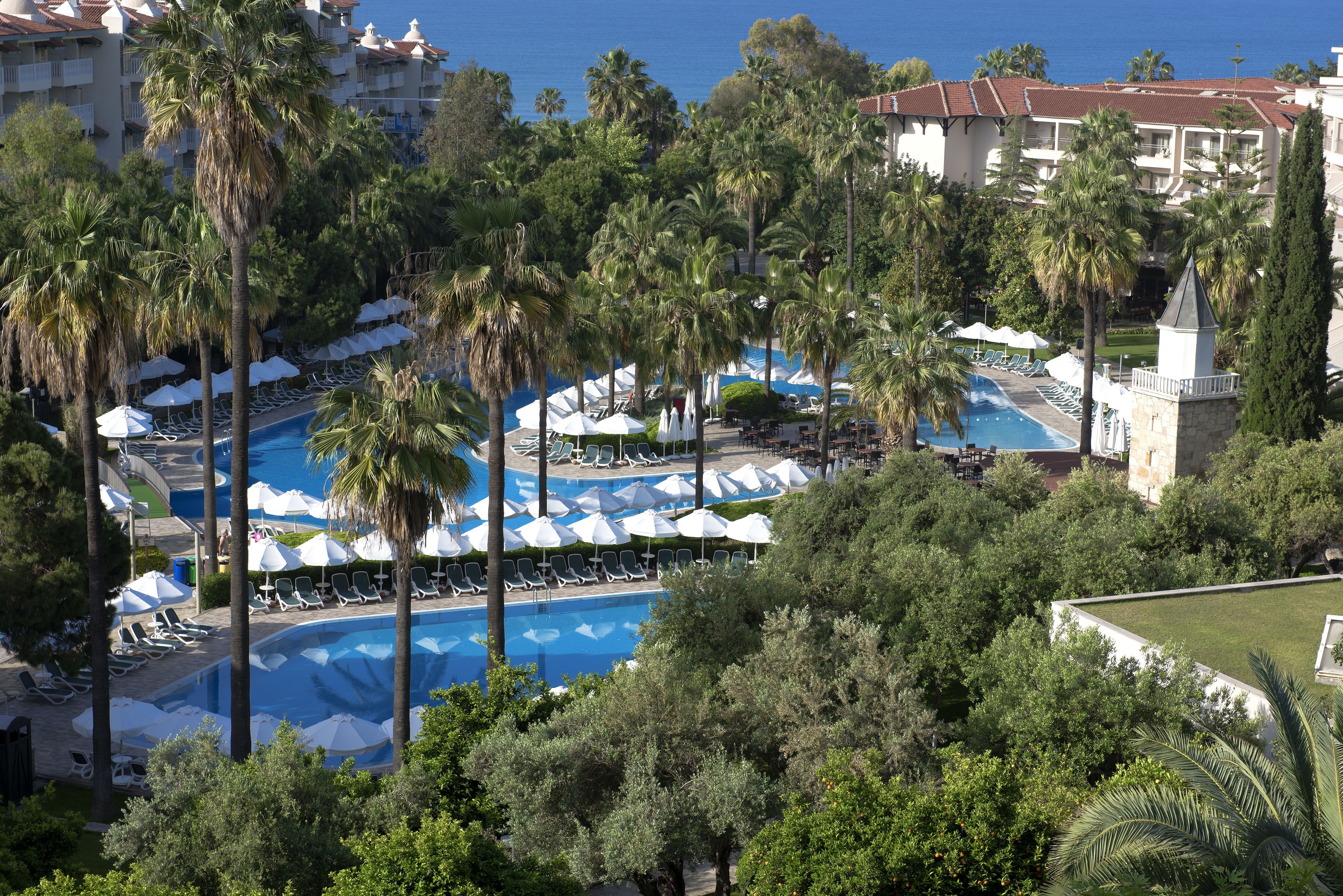 A resort with a swimming pool surrounded by palm trees and lounge chairs.