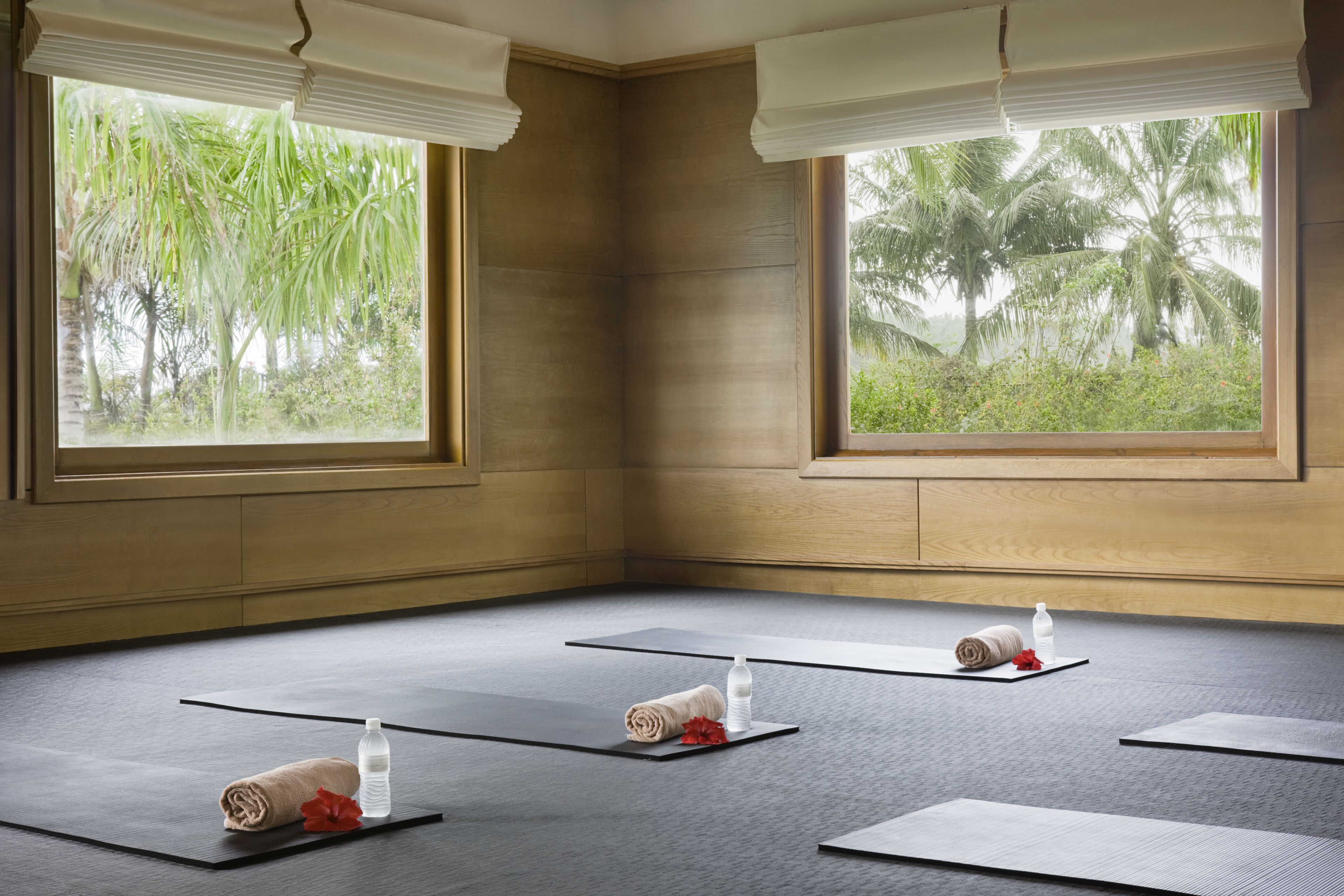 A room with large windows, wooden walls, and yoga mats arranged on the floor.