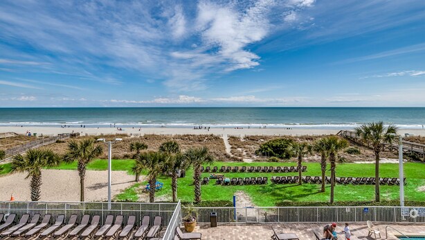 Une vue sur la plage, avec un ciel dégagé, des palmiers et un espace piscine équipé de chaises longues.