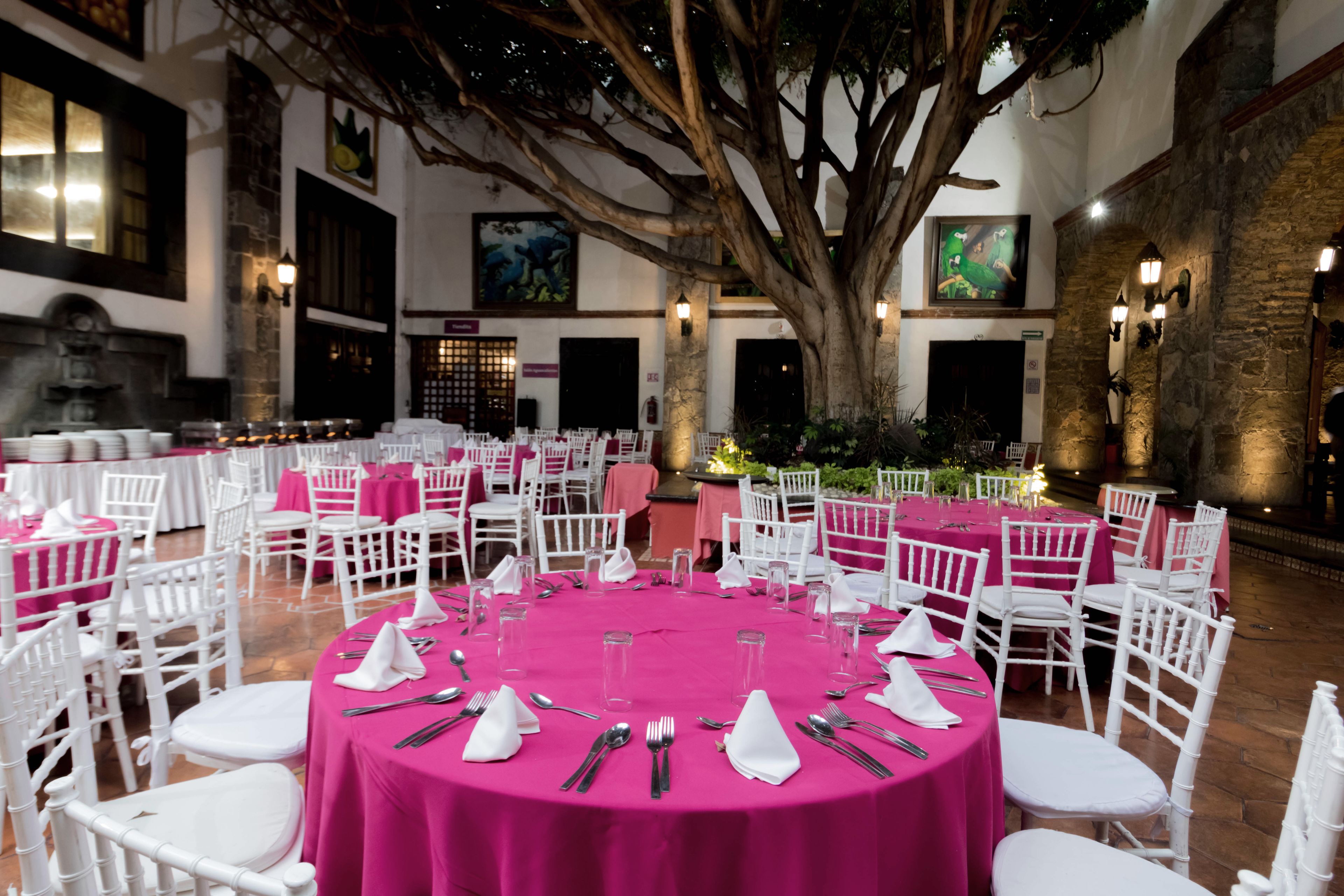 A banquet hall with round tables covered in pink tablecloths, white chairs, and a large tree in the center.
