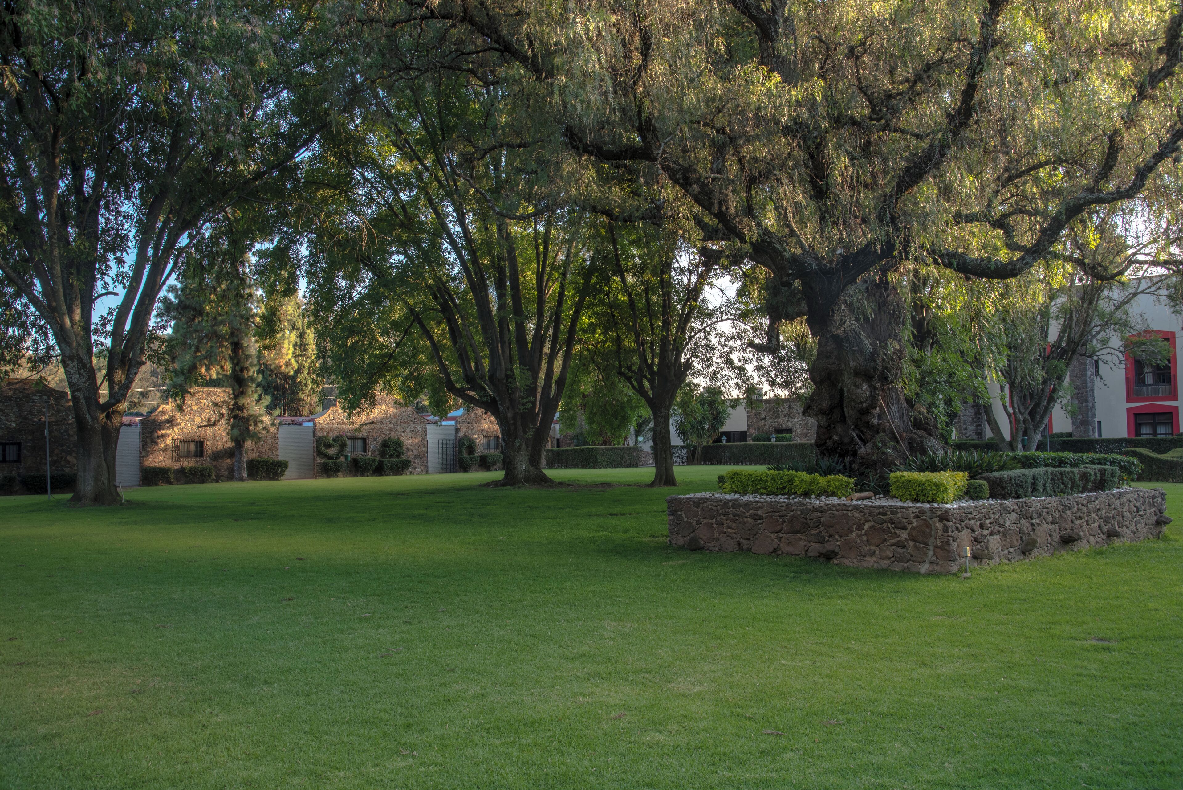 A well-maintained grassy area with mature trees and a stone retaining wall.