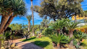 A garden pathway with palm trees and a brick path.