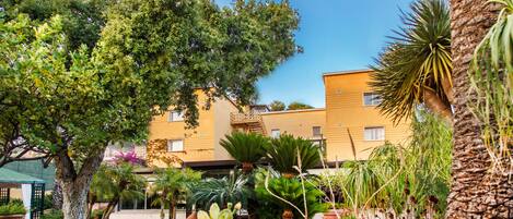 A courtyard with a palm tree, a large cactus, and a building with balconies.