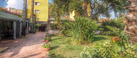A courtyard with a paved walkway, potted plants, and cacti.