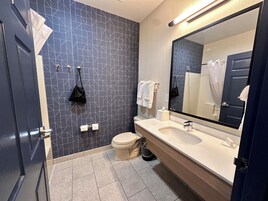Bañera con ducha, secador de pelo, toallas, jabón