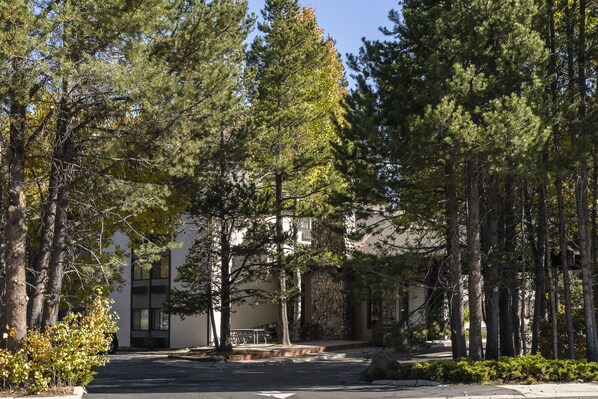 A building surrounded by tall trees and a paved area with benches.