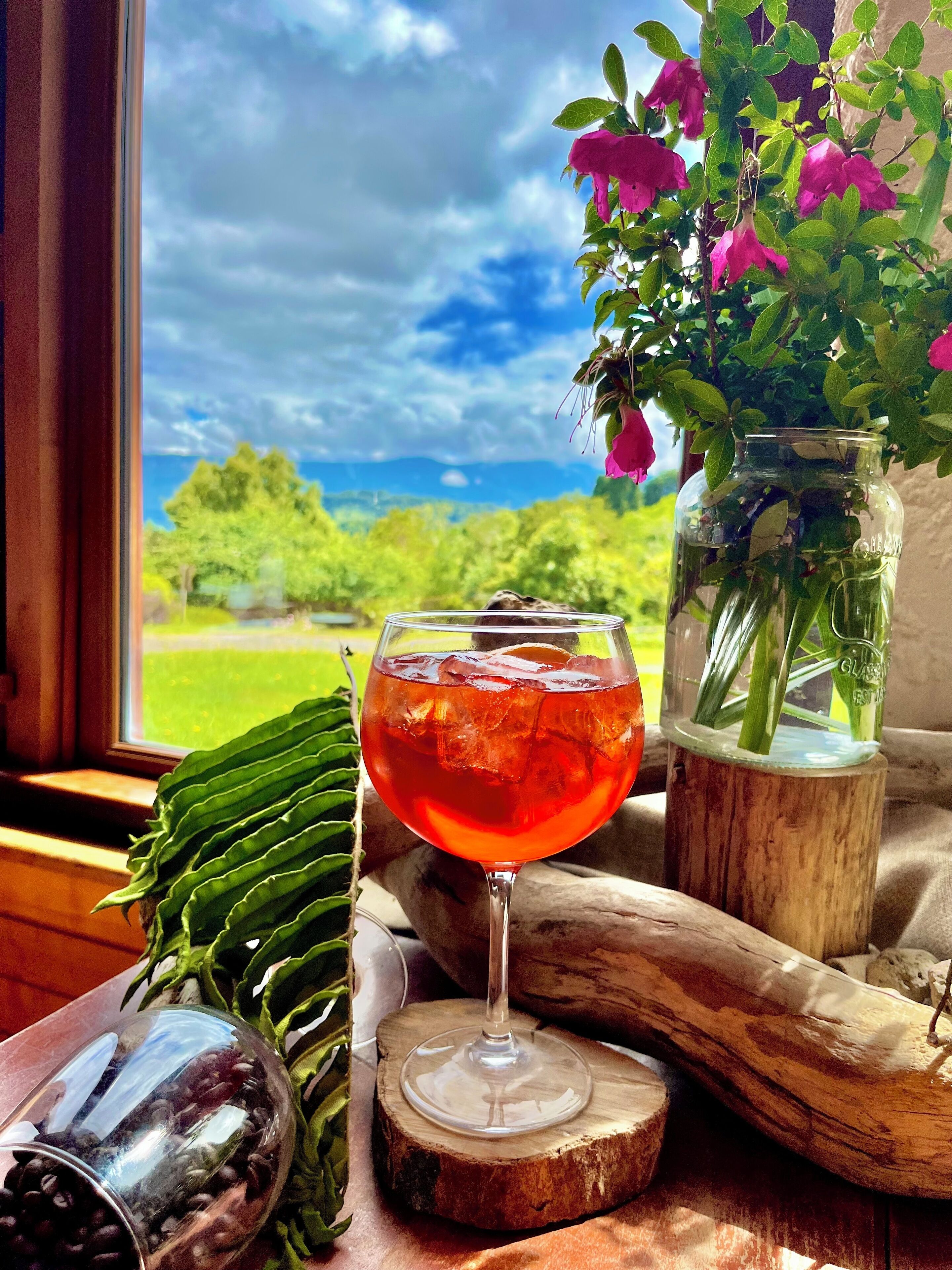 Un verre d’une boisson rouge posé sur un sous-verre en bois, un pot de plantes vertes et une fenêtre donnant sur un paysage verdoyant.