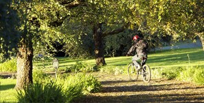 Ciclismo