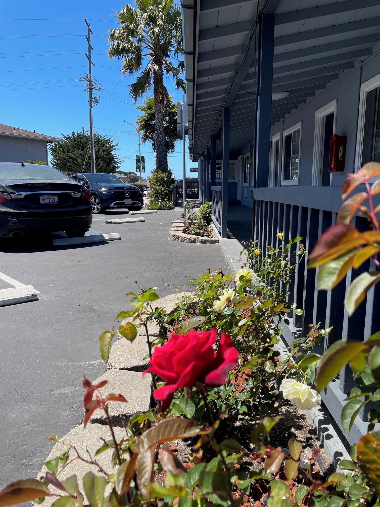 Foto - The Monterey Fireplace Inn