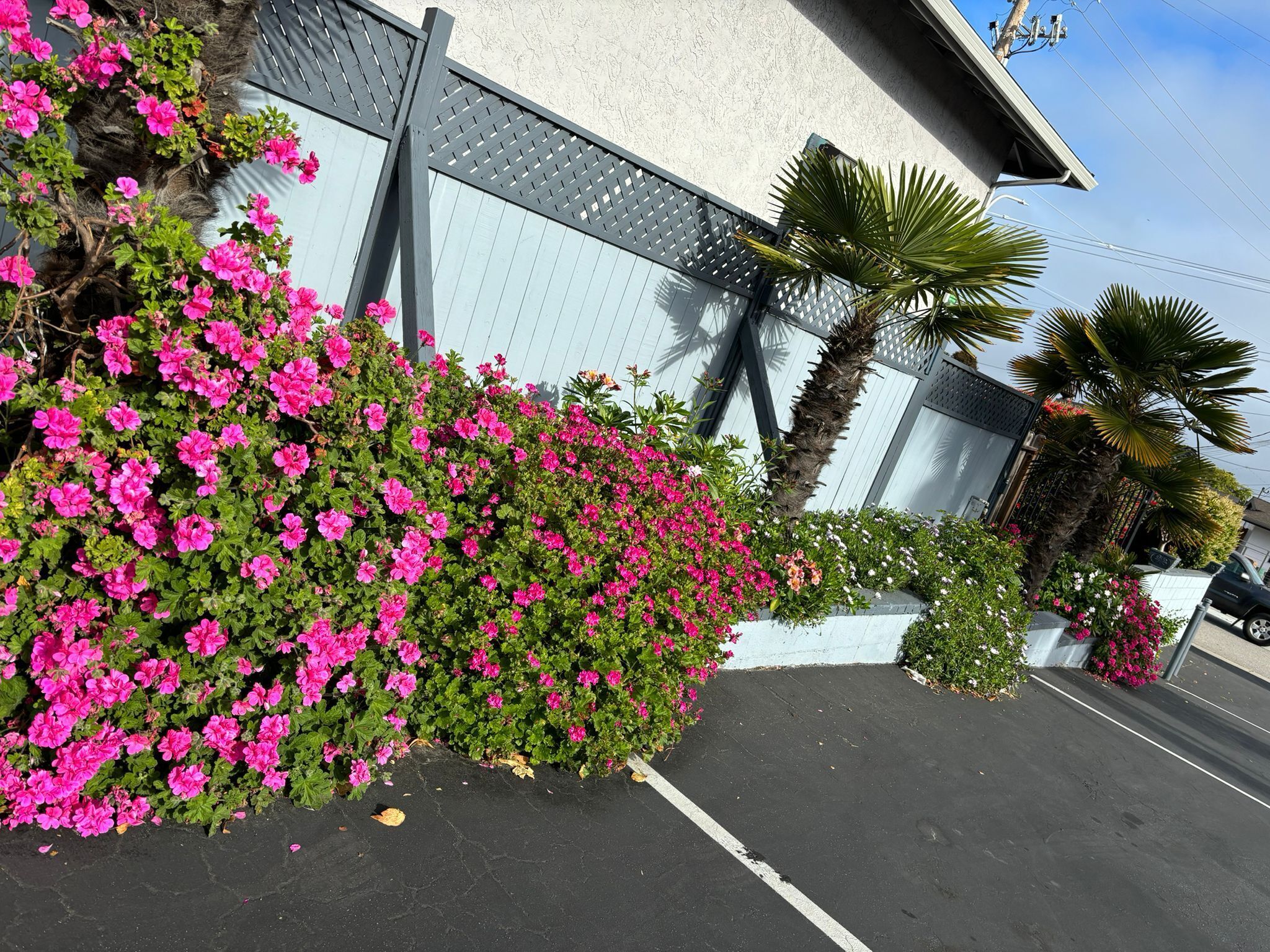 Foto - The Monterey Fireplace Inn