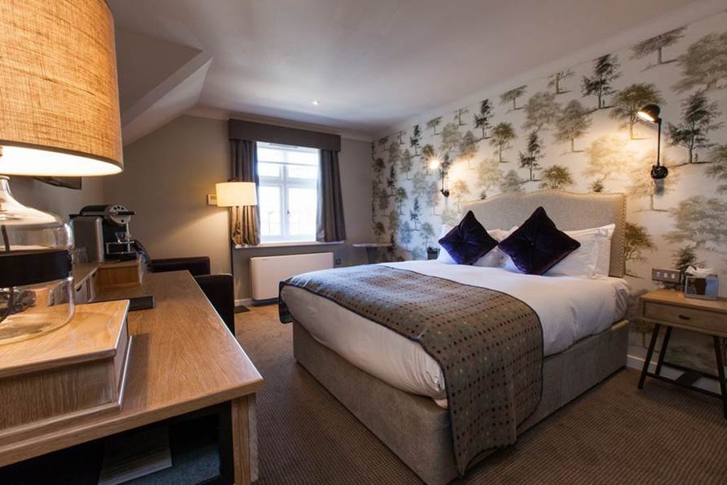 A hotel room with a large bed, a desk with a lamp, a window with curtains, and a wall with a tree pattern.