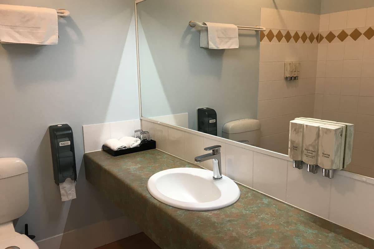 studio twin | bathroom | shower, free toiletries, towels