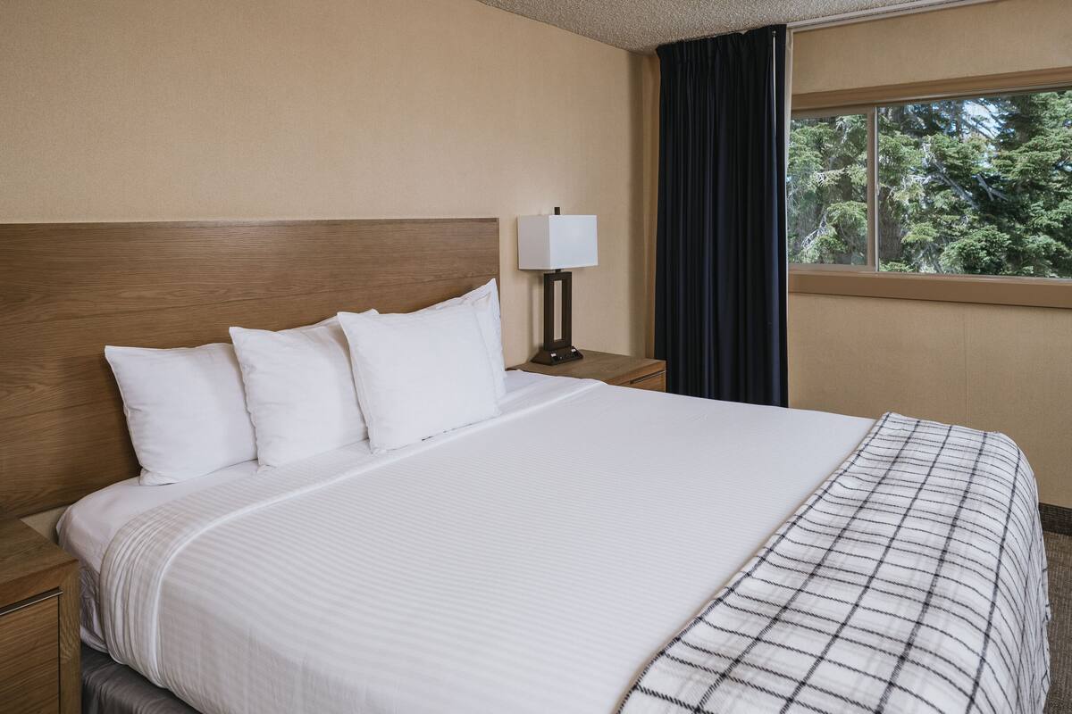A hotel room with a large bed, a nightstand with a lamp, and a window with a view of trees.