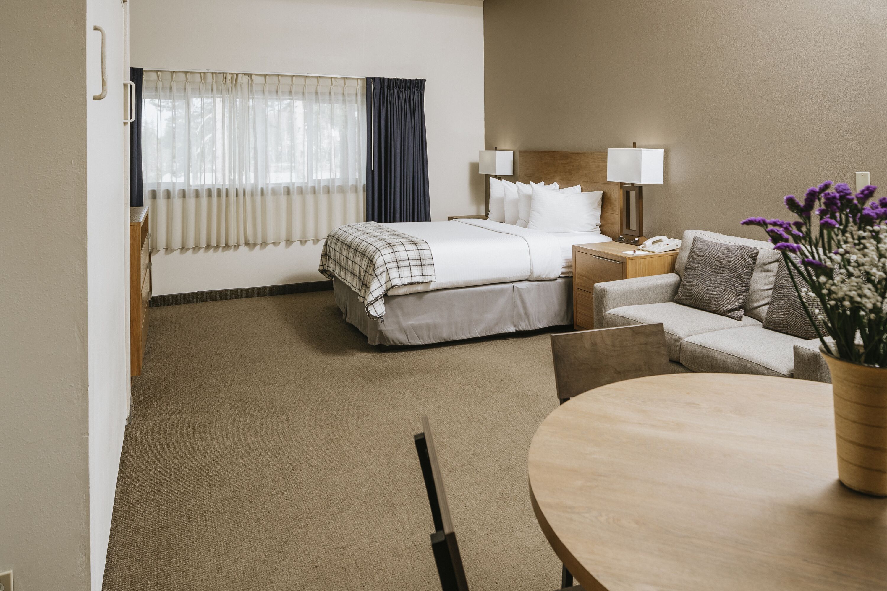 Una habitación de hotel con una cama, una mesita de noche con lámpara, un sofá, una mesa redonda y una planta en maceta.