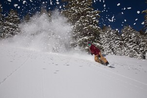 Un snowboarder con una chaqueta roja y pantalones amarillos en una ladera nevada con árboles al fondo.