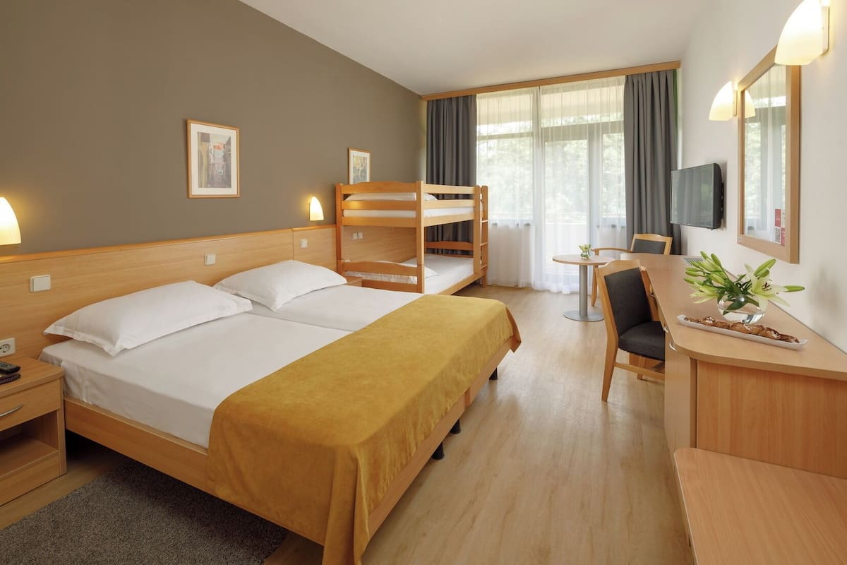 A hotel room with a double bed, a bunk bed, a desk with a chair, a TV, and a small table with a plant.