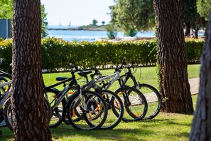 Bicycling