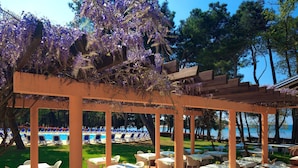An outdoor dining area with tables and chairs, a pool in the background, and a pergola with purple flowers. - Hotel Aurora Plava Laguna (Umag)