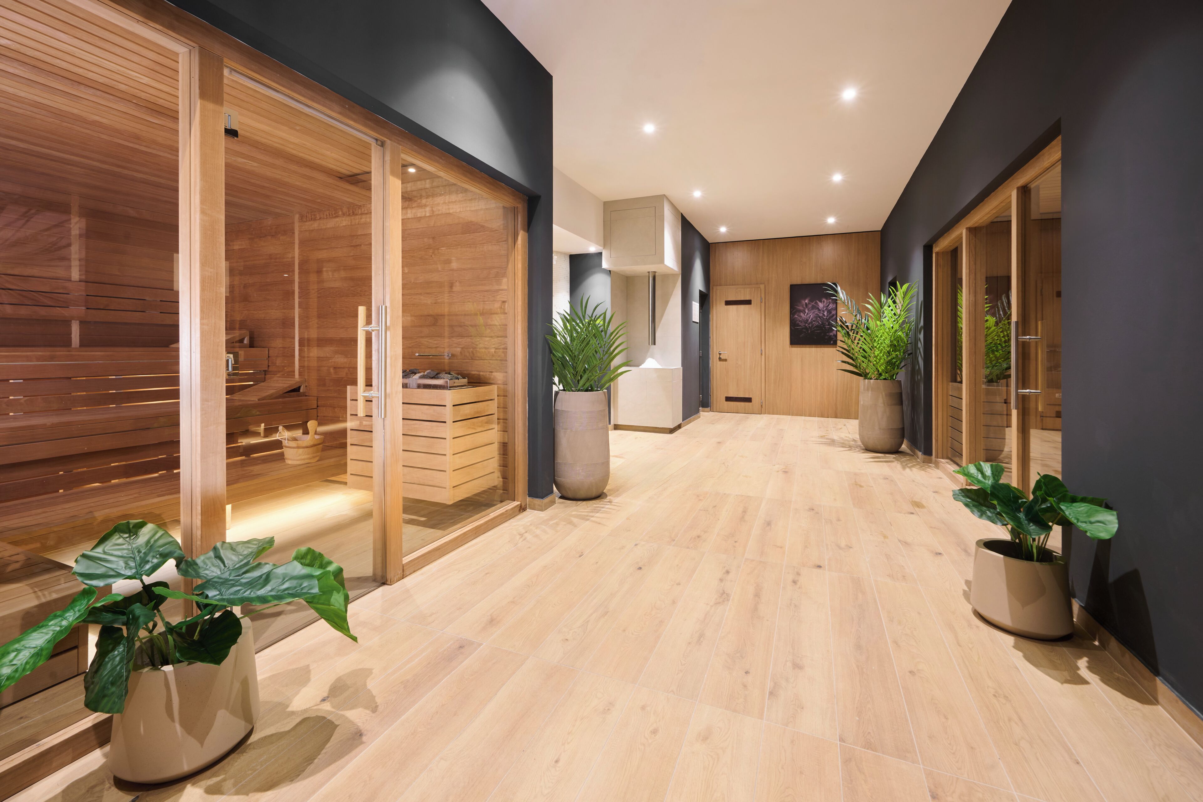 A modern interior with a wooden sauna, a massage table, and potted plants.