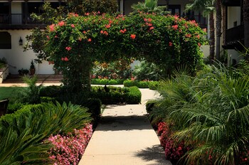 Property grounds at Estancia La Jolla Hotel & Spa