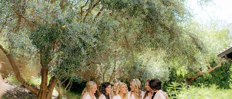 Un groupe de personnes se tient sous un arbre dans un jardin.
