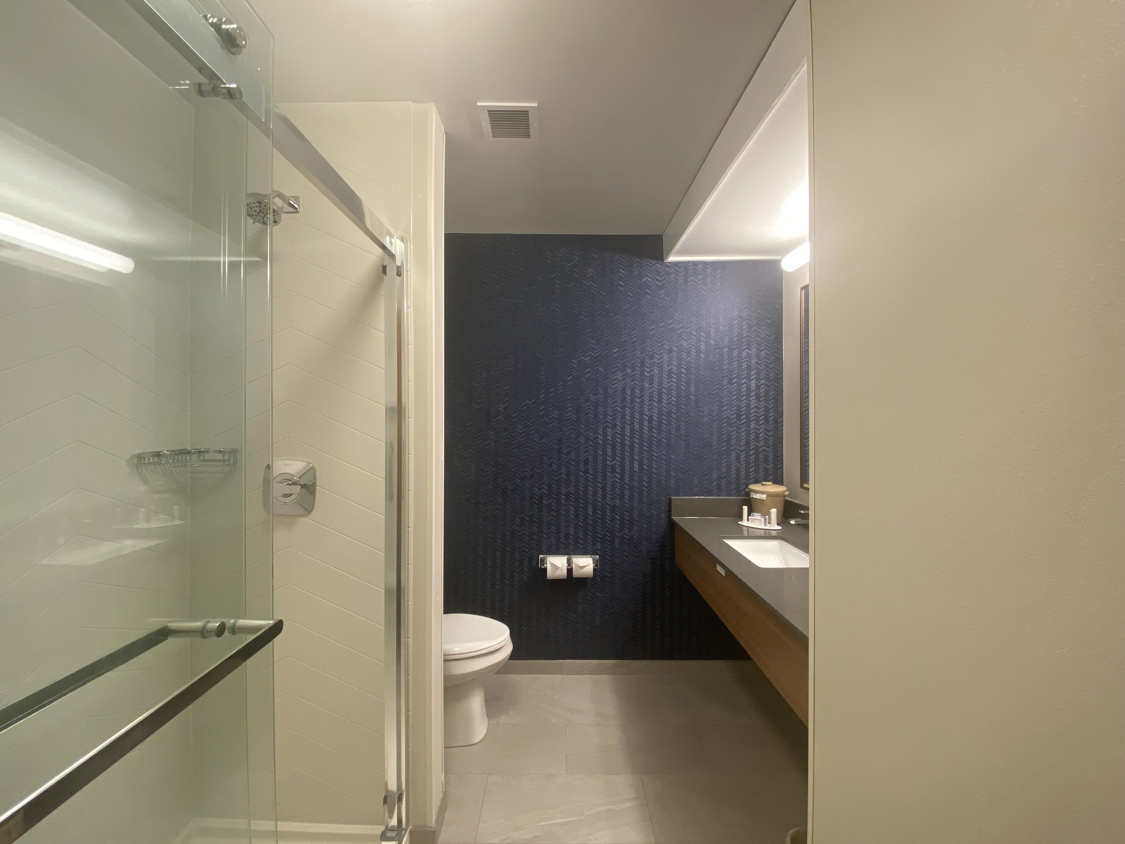 combined shower/bathtub, free toiletries, hair dryer, towels