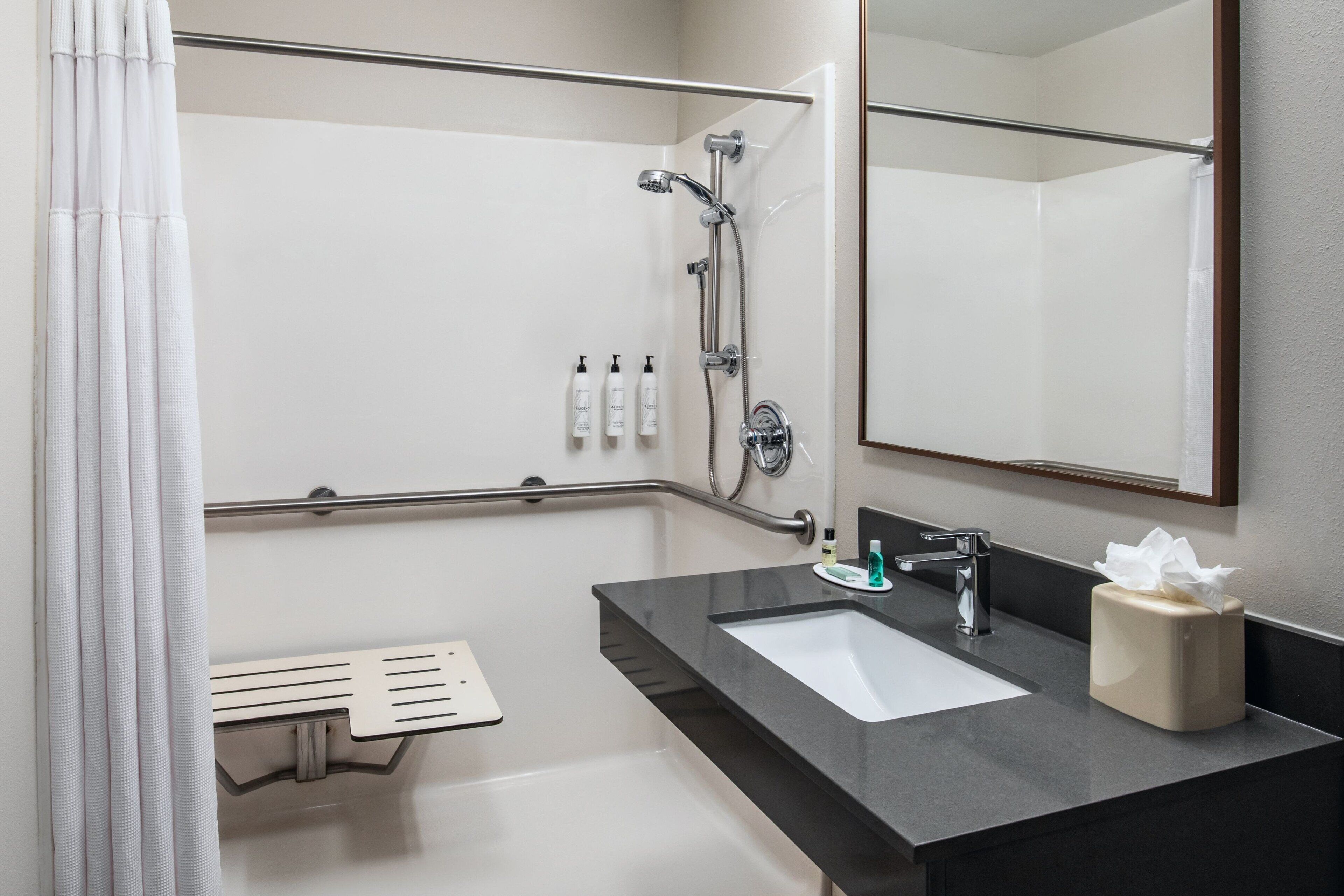 combined shower/bathtub, free toiletries, hair dryer, towels